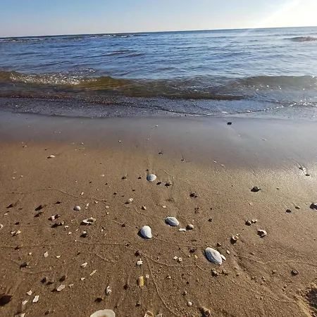 아파트 Ostseeresidenz Gorki- Park - 06 Mit Wellness Und Schwimmbad 제바트헤링스도르프
