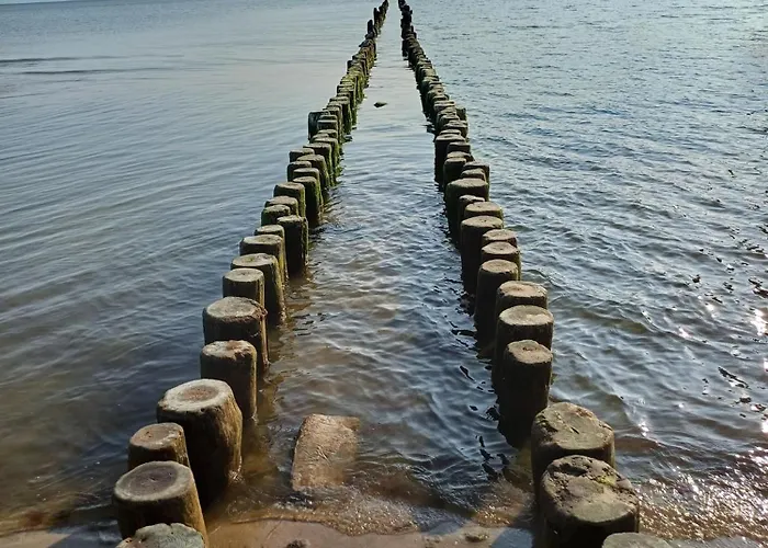 Ostseeresidenz Gorki- Park - 06 Mit Wellness Und Schwimmbad 아파트 제바트헤링스도르프